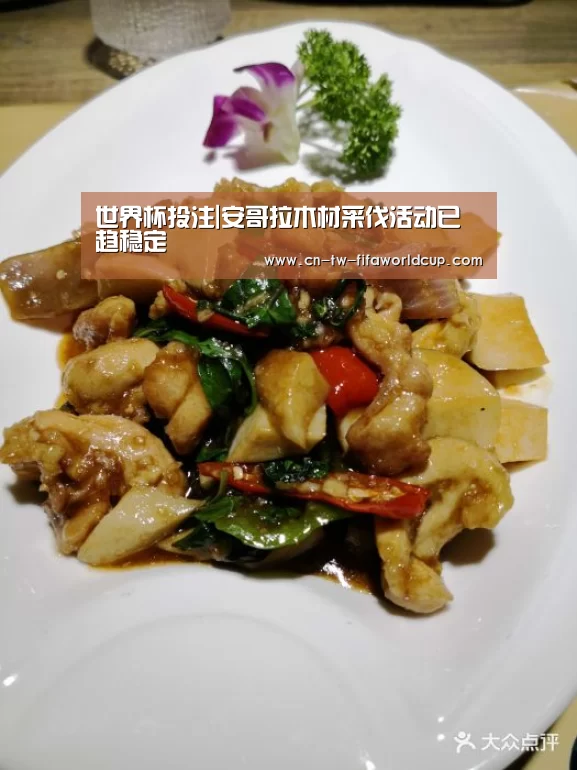 世界杯投注|安哥拉木材采伐活动已趋稳定(图2) 世界杯投注