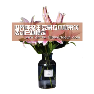 世界杯投注|安哥拉木材采伐活动已趋稳定(图3) 世界杯投注