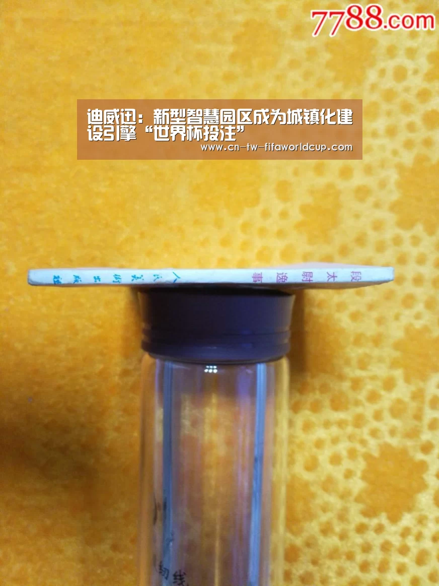 世界杯投注
