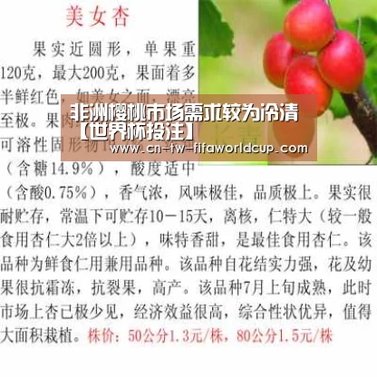 世界杯投注