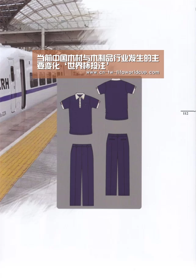 当前中国木材与木制品行业发生的主要变化‘世界杯投注’(图1) 世界杯投注