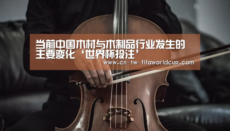 当前中国木材与木制品行业发生的主要变化‘世界杯投注’(图3) 世界杯投注