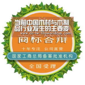 当前中国木材与木制品行业发生的主要变化‘世界杯投注’(图4) 世界杯投注