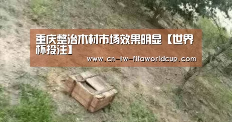 重庆整治木材市场效果明显【世界杯投注】(图1) 世界杯投注
